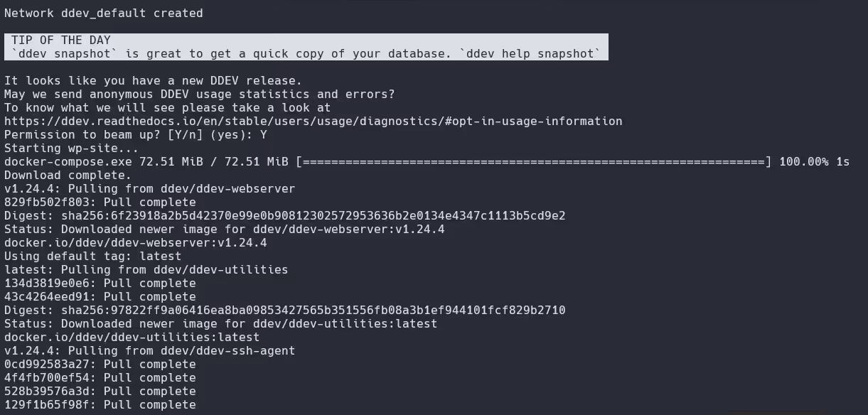 Imagens docker do DDEV